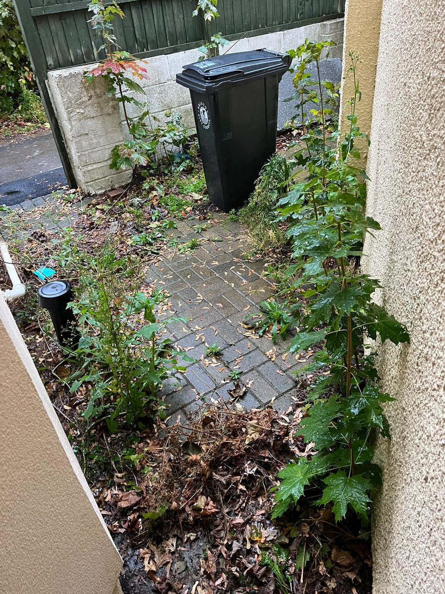 Overgrown side passage in Hengrove with weeds, saplings and fallen leaves covering the paving beside a wheelie bin